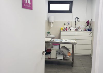 Animalia Ezkaba Instalaciones Consulta