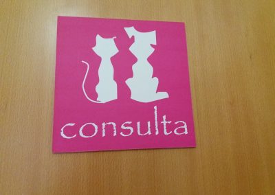 Animalia Ezkaba Instalaciones Consulta