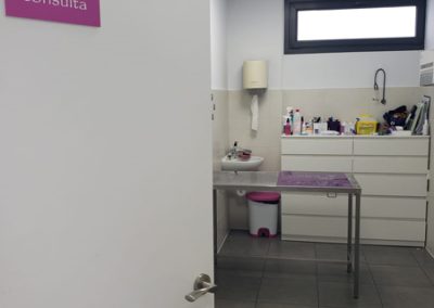 Animalia Ezkaba Instalaciones Consulta