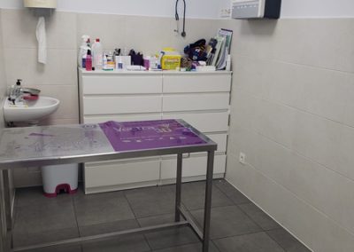 Animalia Ezkaba Instalaciones Consulta