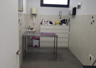Animalia Ezkaba Instalaciones Consulta