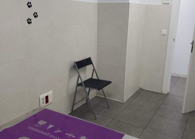 Animalia Ezkaba Instalaciones Consulta