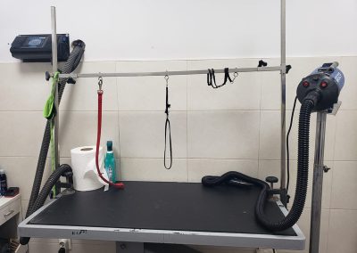 Animalia Ezkaba Instalaciones Peluquería