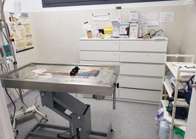 Animalia Ezkaba Instalaciones Quirófano