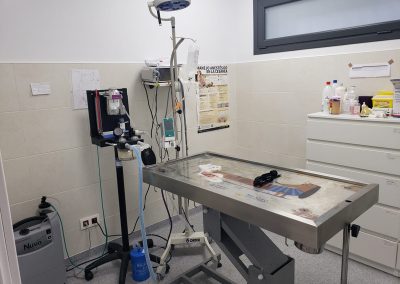 Animalia Ezkaba Instalaciones Quirófano
