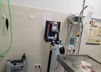 Animalia Ezkaba Instalaciones Quirófano