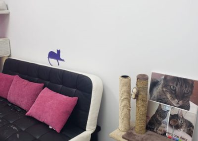 Animalia Ezkaba Instalaciones Sala de espera gatos