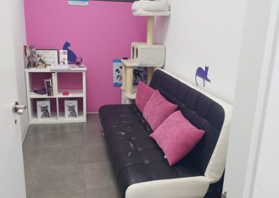 Animalia Ezkaba Instalaciones Sala de espera gatos